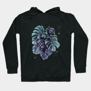 Monstera Leaves 14 Hoodie